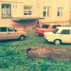 Сергій Костів