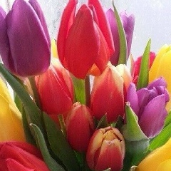 Aigerim Berikova, 04.01.1987