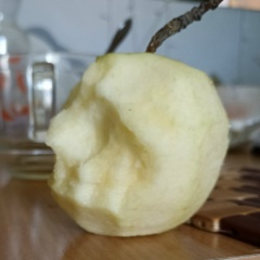 Артур Зароян, Ижевск