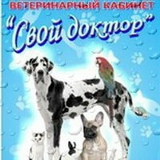 Диана Филимова, 02.03, Севастополь