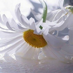 Наталья Кочеткова, 18.07, Самара