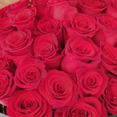 Асем Алдыкова, 10.02.1985, Кокшетау