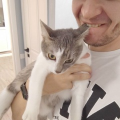 Феликс Мандель, 24.02.1996, Бельцы