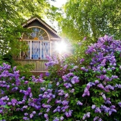 Регина Алеева, Санкт-Петербург
