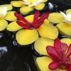 Аяулым Шонаева, 06.12