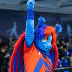 Дмитрий Драконь