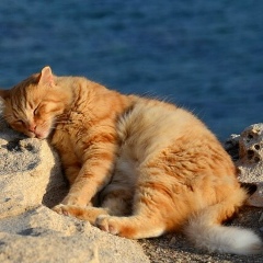 Агата Щербакова, 05.03, Москва