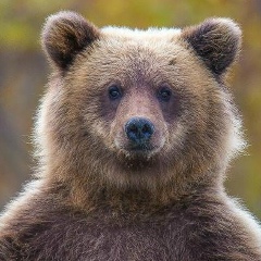 Алексей Уланов, 25.12, Москва