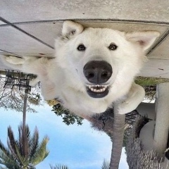 Евгений Фролов, 27.02.1992, Казань