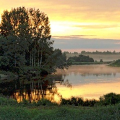 Максим Форсунов, 17.11.1986, Санкт-Петербург