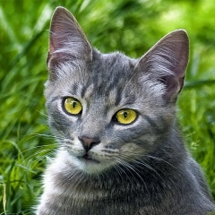 Диана Максимова, 09.10, Минск