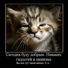 Евгений Булашевский, 30.03, Санкт-Петербург