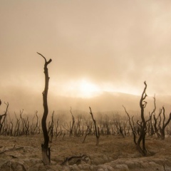 Людмила Ивлева, 04.11.1961, Одесса