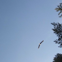 Галина Федорова, 29.08, Санкт-Петербург