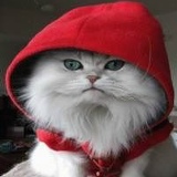 Евгений Егоров, 12.07, Киев