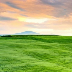 Виктор Холин, Санкт-Петербург