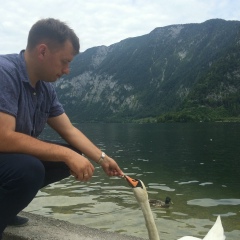 Олег Гордиенко, 31.12