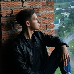 Дмитрий Лариков, 26.09.1995, Бакчар