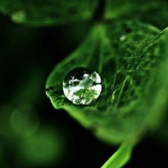 Александр Валышев, 01.06, Санкт-Петербург