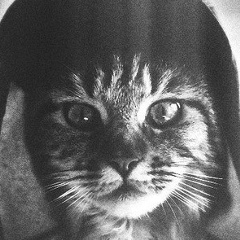 Максим Марковский, 27.09.1999, Москва