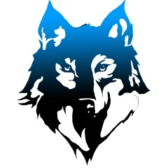 Базаржав Дамдин, 24.08.1984, Свирск