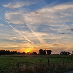 Luciana Warkentin, 15.05.1985, Aachen