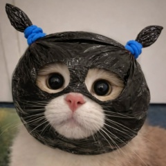Яна Гасанова