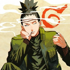 Shikamaru Nara, 12.04