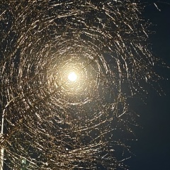 Алексей Мурашов, 28.04, Москва