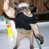 Дмитрий Костылёв, 15.05.1930, Чернигов