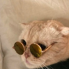 Vetal Novikov, 03.10.1997, Los Angeles