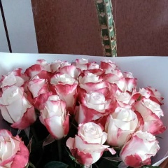 Марина Садыкова, 29.06.1987, Усть-Каменогорск