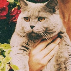 Екатерина Архипова, 08.09.1987