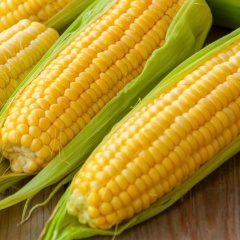 Алиса Матвеева, 30.06, Бобров