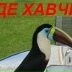 Дмитрий Брянский, 16.06.1989, Санкт-Петербург