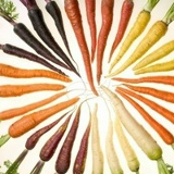 Григорий Тютюнник, 31.08, Москва