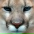 Светлана Синицына, Выкса