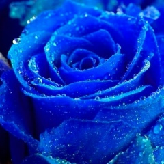 Баян Абикеева, 10.11.1997, Астана