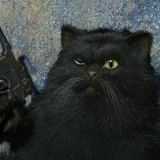 Роман Качалов-Киструга, 13.01