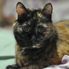 Игорь Захаров, 14.03.1989