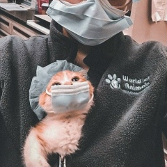 Ayauzhan Zharylgapova, 20.07