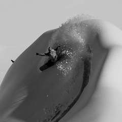 Yury Makarevich