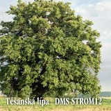 Hnutí-Ekologického Empatizmu-Země