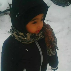 George Stirbei, 28.10.1988