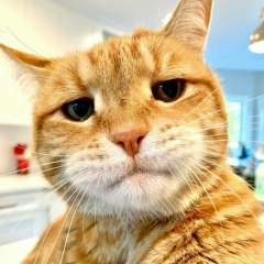 Сергей Калугин, 03.03, Санкт-Петербург