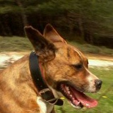Alik Virabyan, 02.09, Alexandroupoli