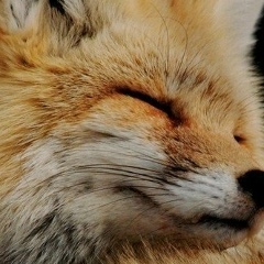 Маша Иванова, 23.01, Москва