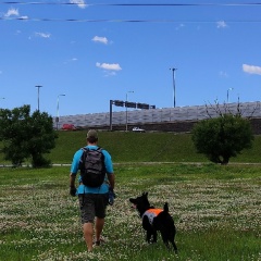 Антон Липцев, 31.12.1986, Санкт-Петербург