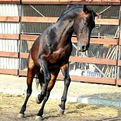 Элиз Мэкка, 07.04, Челябинск