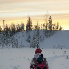 Даня Туули, 23.11, Umeå